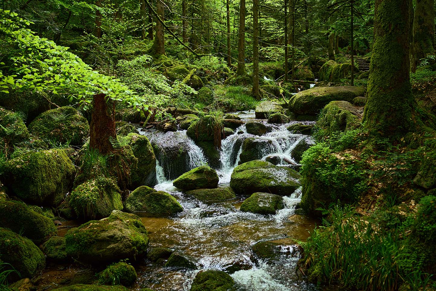 Wasserfall Gertelbach Schwarzwald Buehlertal landscape wandbild wandschmuck Galerie Geschenk
