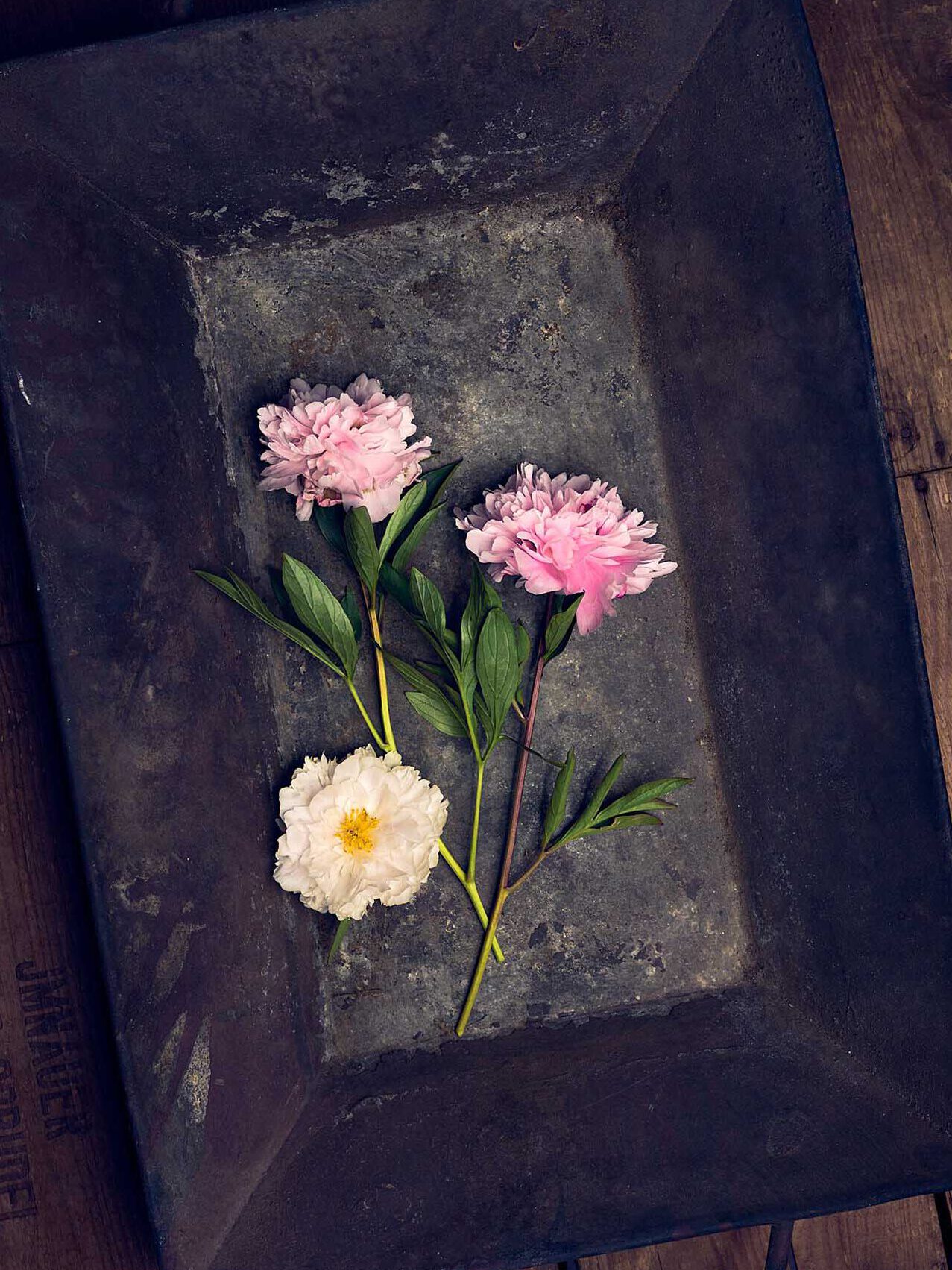 dekoration stilllife
